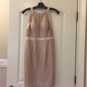 Beautiful Light Pink and Gold Shimmer Dress